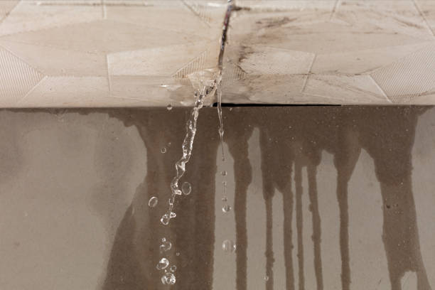 Professional Water Damage Inspection technician working in Grandview, TX